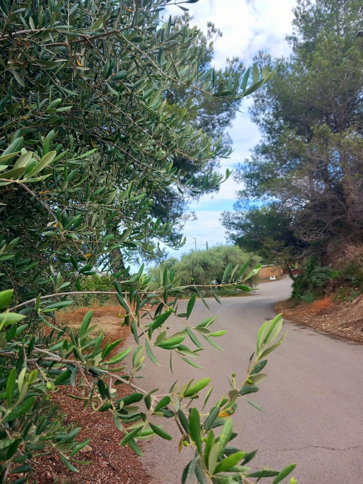 Dolci Risvegli Appartamento Vista Mare Ventimiglia Exterior foto
