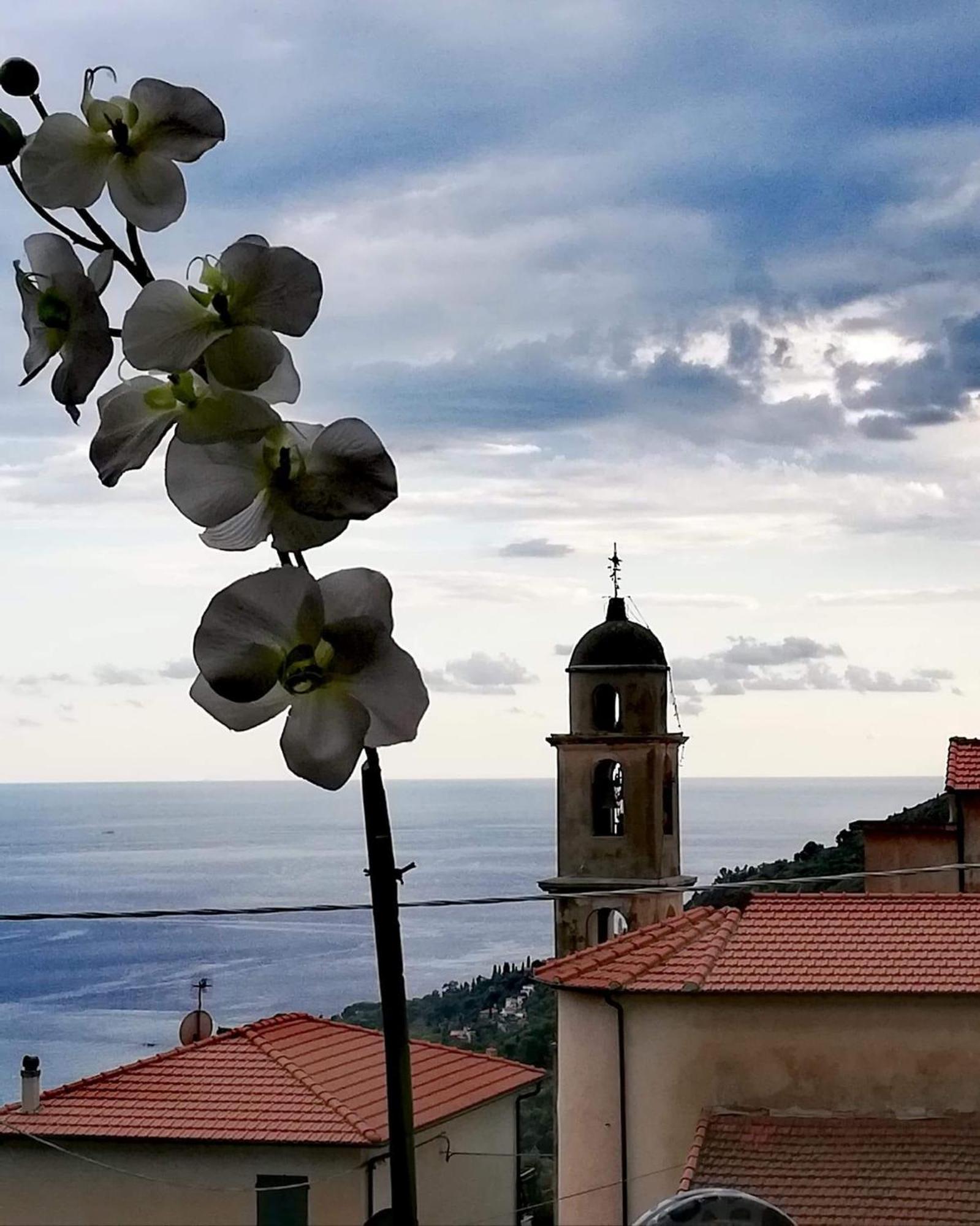 Dolci Risvegli Appartamento Vista Mare Ventimiglia Exterior foto